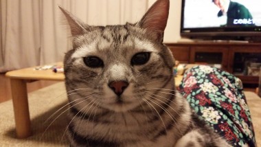 うっとりイブちゃん