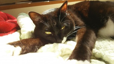 リラックスが大切 協力：白玉